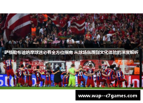 萨格勒布迪纳摩球迷必看全方位指南 从球场氛围到文化体验的深度解析 萨格勒布迪纳摩球迷必看全方位指南 从球场氛围到文化体验的深度解析