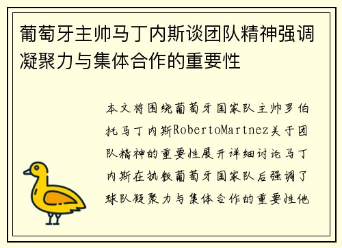 葡萄牙主帅马丁内斯谈团队精神强调凝聚力与集体合作的重要性
